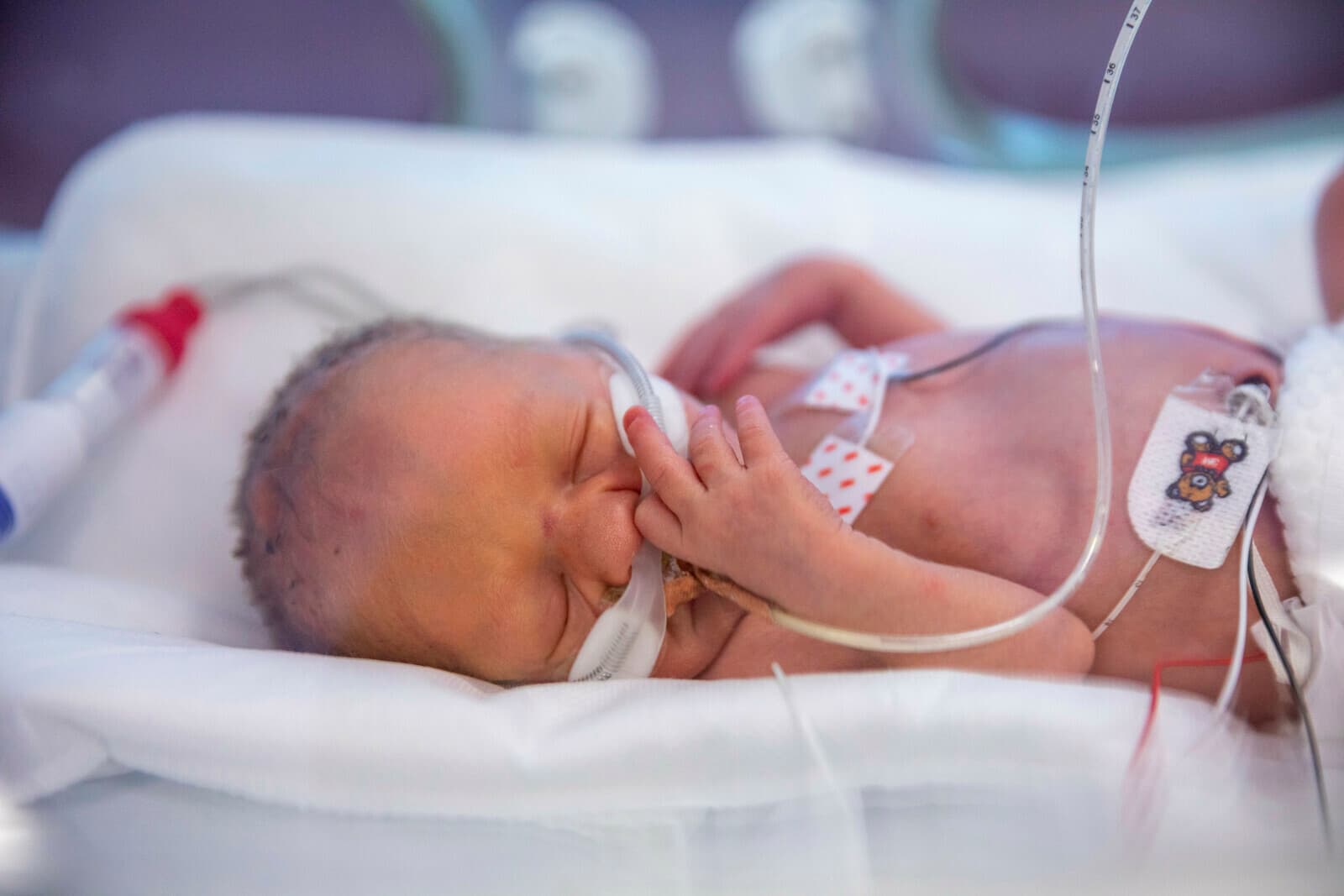 Volunteers working on a community project