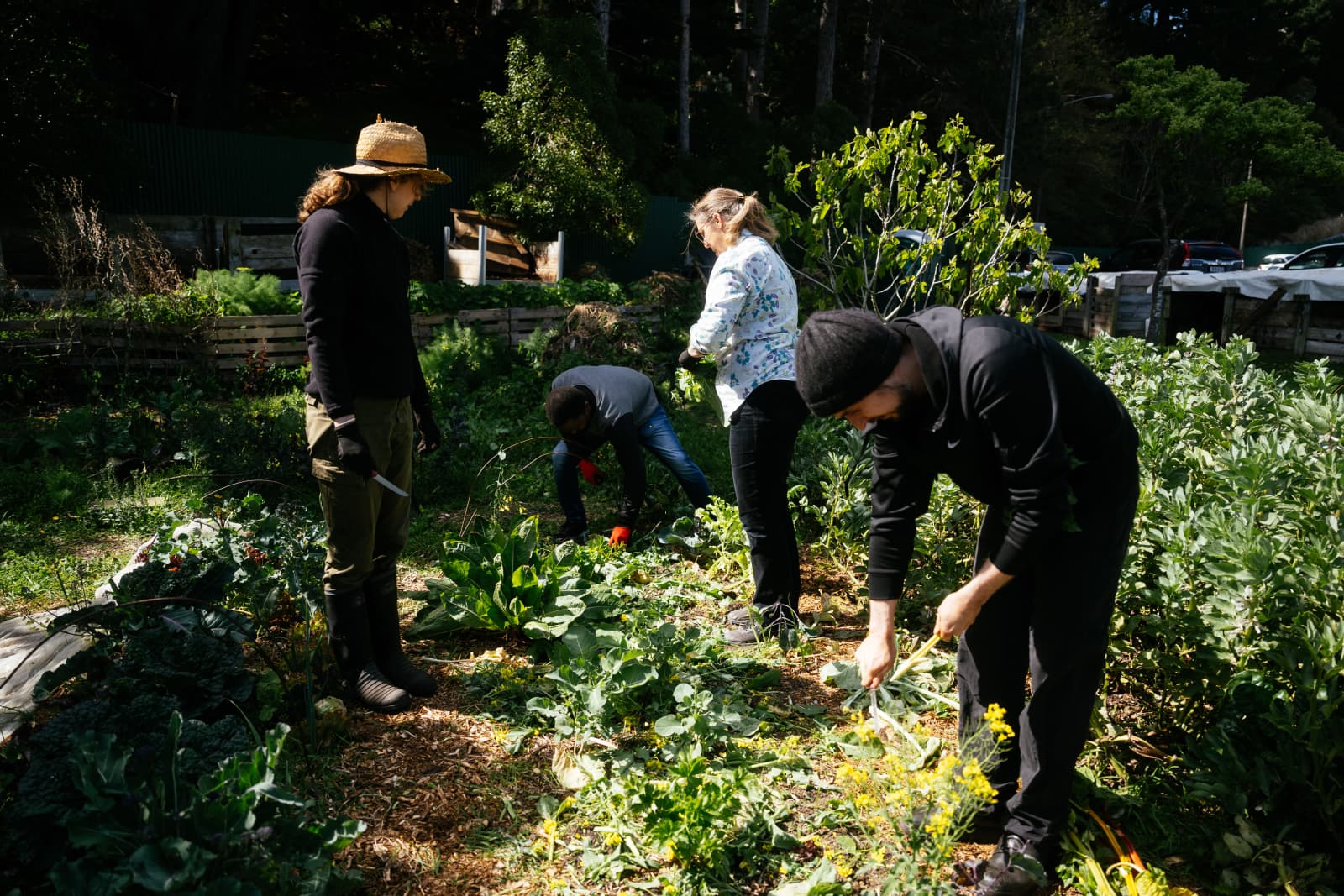 Students and community members collaborating