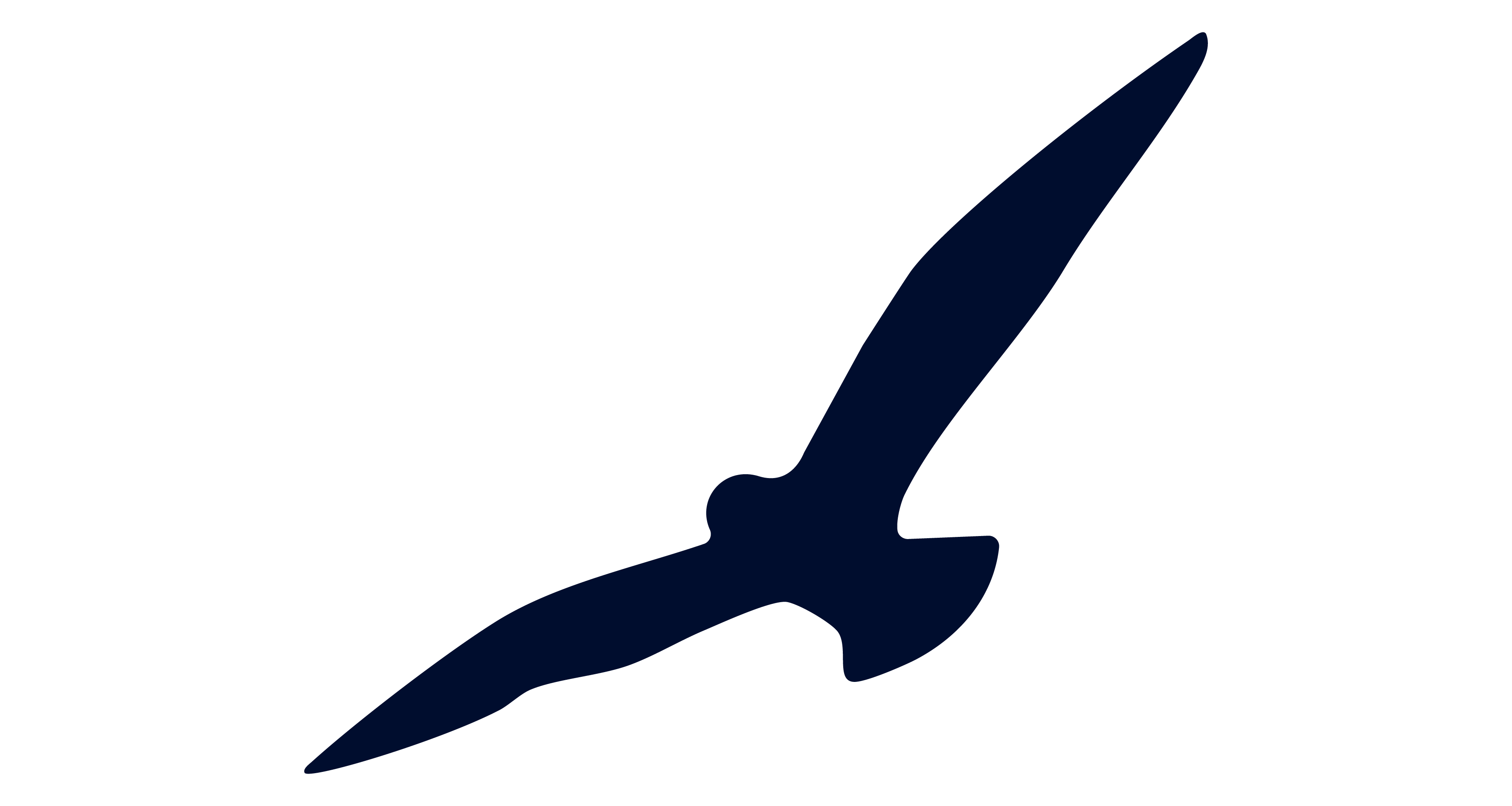 Pipi Cove Bird